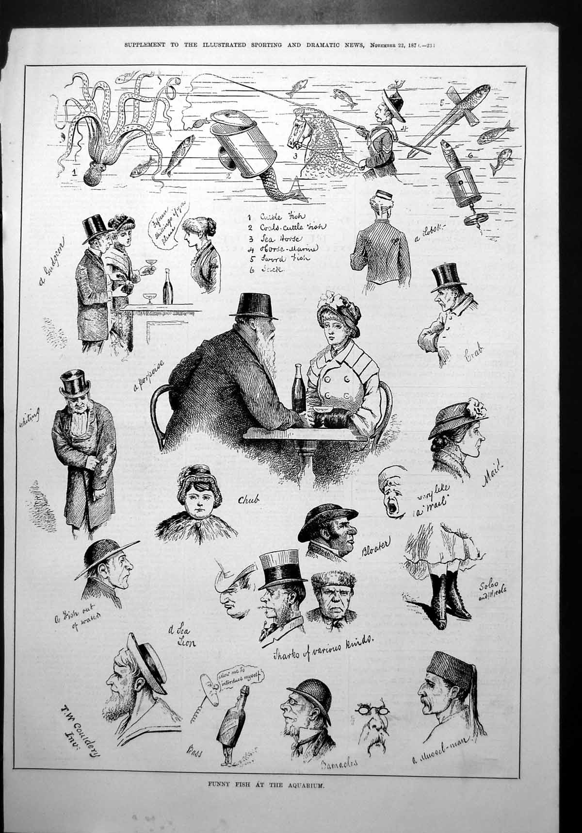 Old Funny Fish Aquarium Artists Take Crowd Chub Porpoise Sea Horse 1879 19th