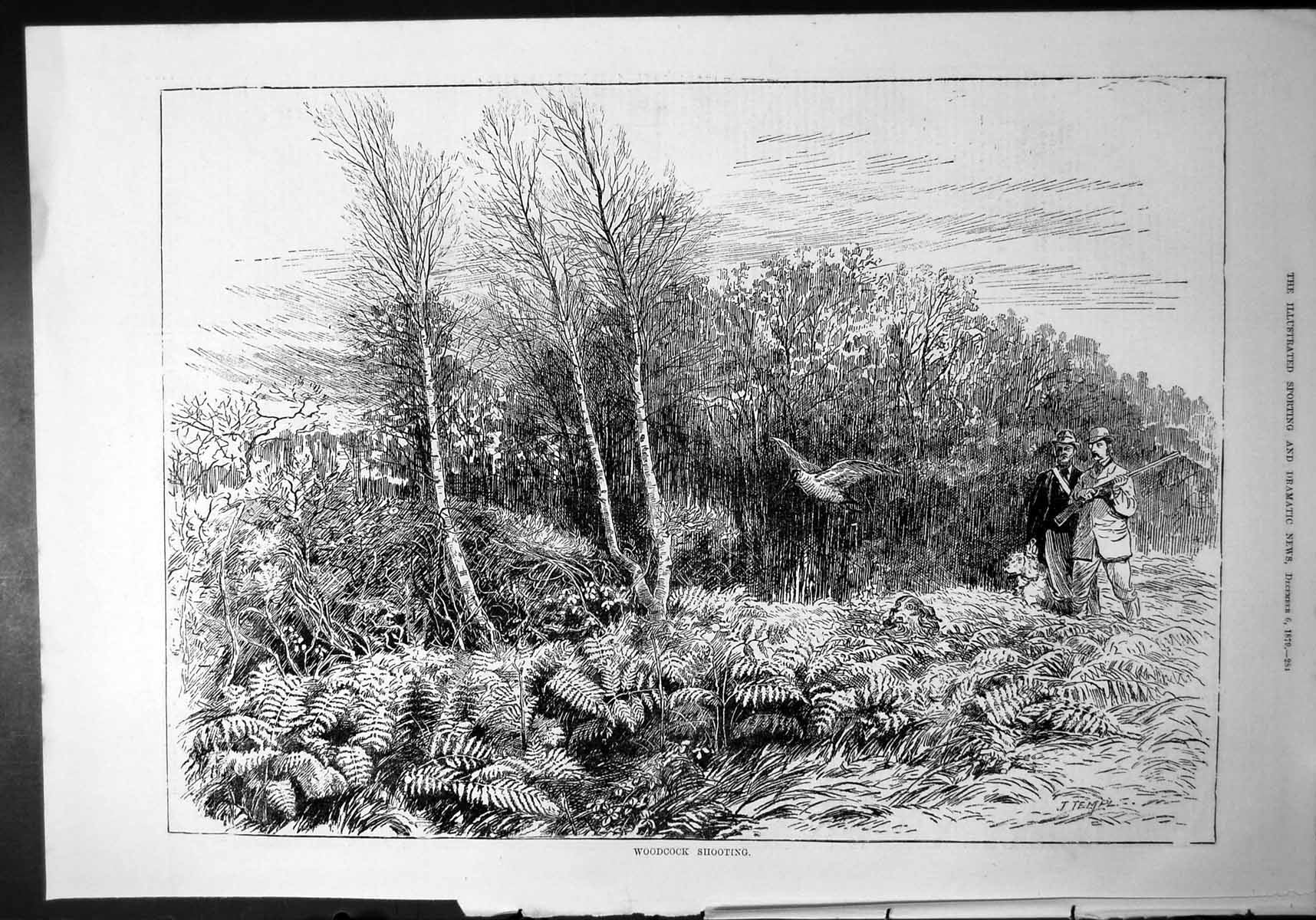 Old Woodcock Shooting Two Men Gun Silver Birch Bracken Dog Woods 1879 Victorian