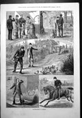 Old Story Illustrations Ladies Gentlemen Ducks Turkeys Phantom Bus 1879 19th