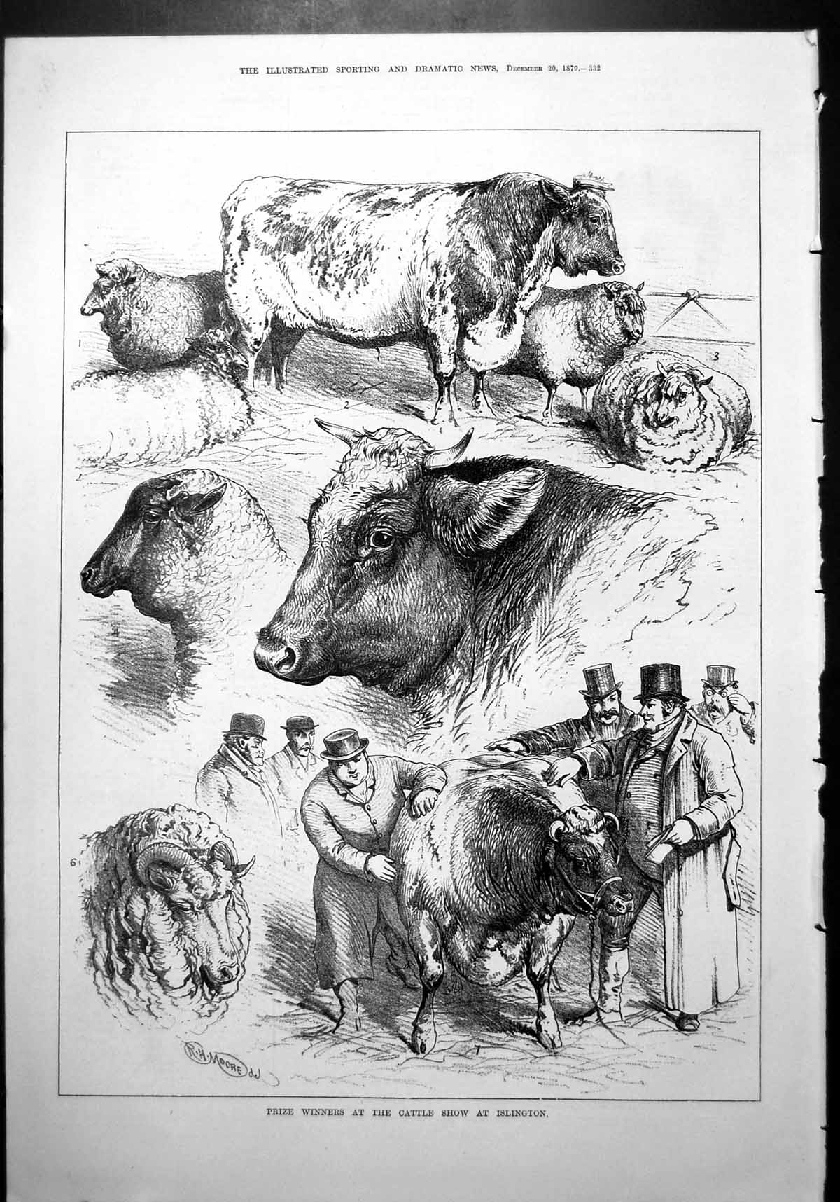 Old Prize Winners Cattle Show Islington RH Moore Cows Bulls Sheep 1879 19th