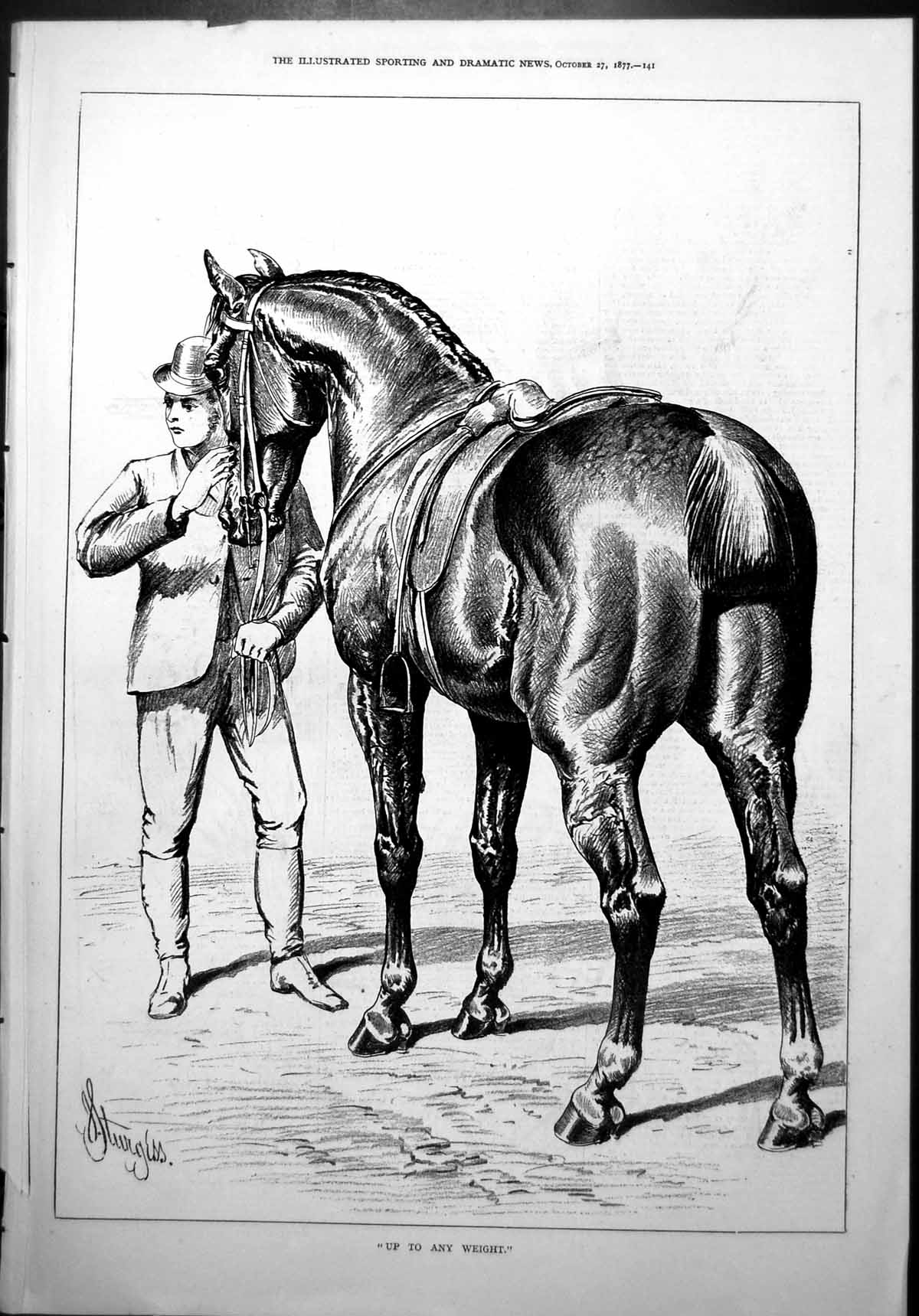 Old J. Stugess Horse Study ?Up To Any Weight ? Groom Saddle Stallion