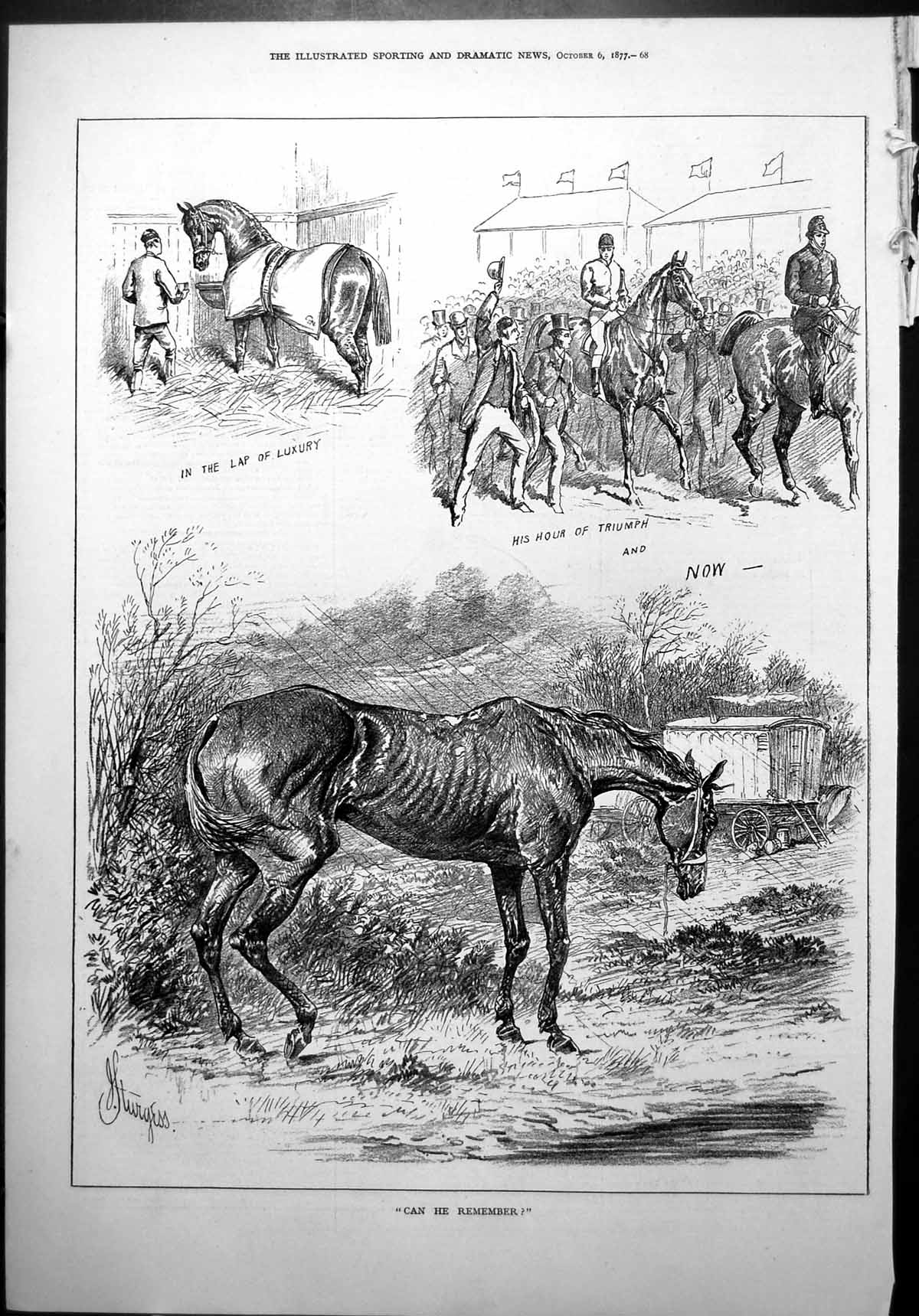 Antique Old Print Treatment Horse Over Lifetime Lap Luxury Triumph Age 1877