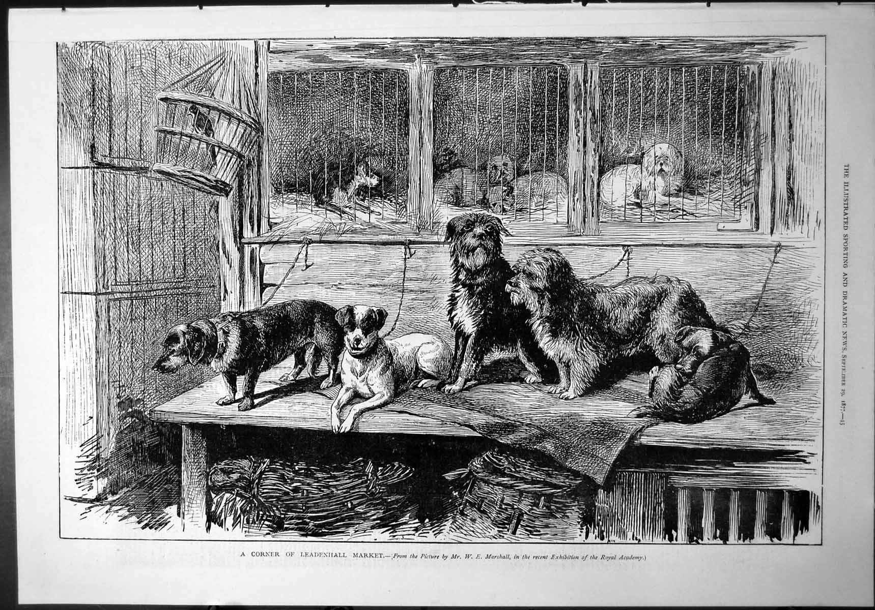 Antique Print Corner Leadenhall Market W.E. Marshall Dogs Straw Basket 1877