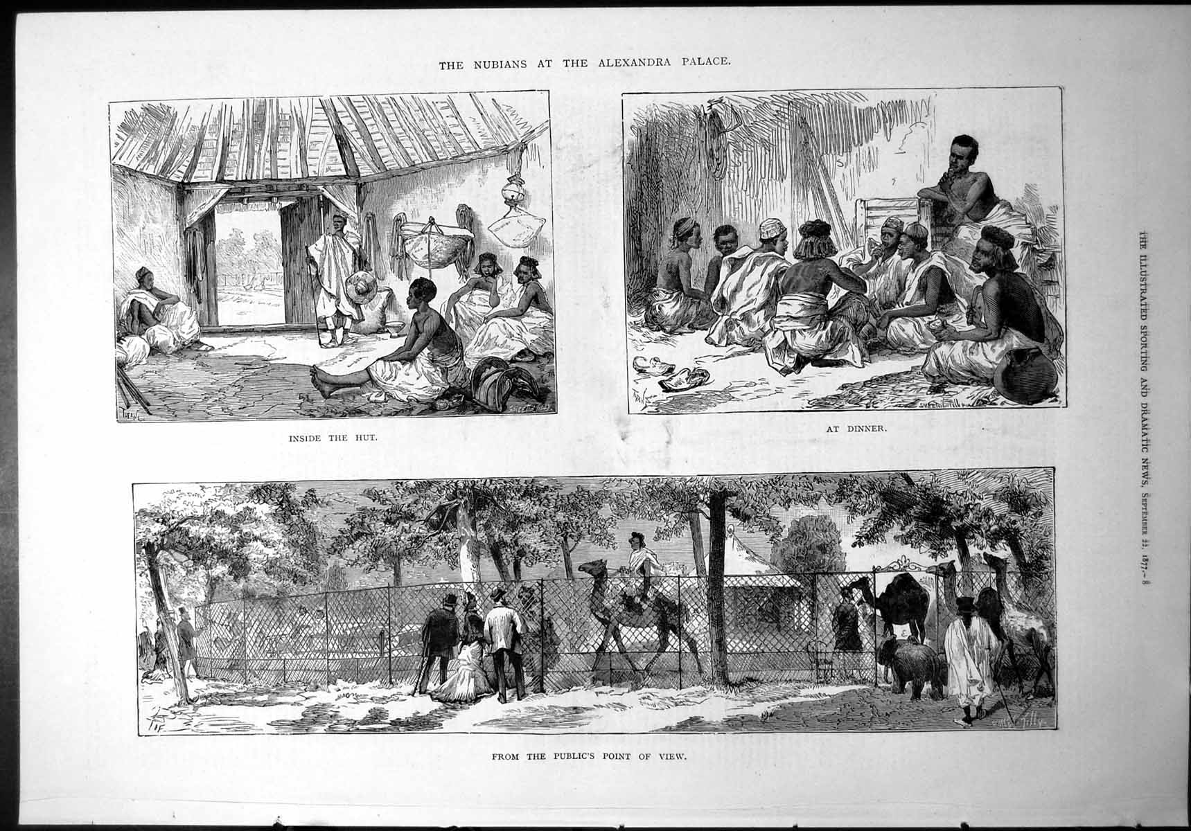 Old From Publics Point View Inside African Hut Dinner Camel Riding 18 Victorian