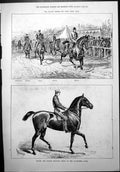 Old Print Palace Stakes First Final Heat Norah Famous Trotting Mare 1877 19th