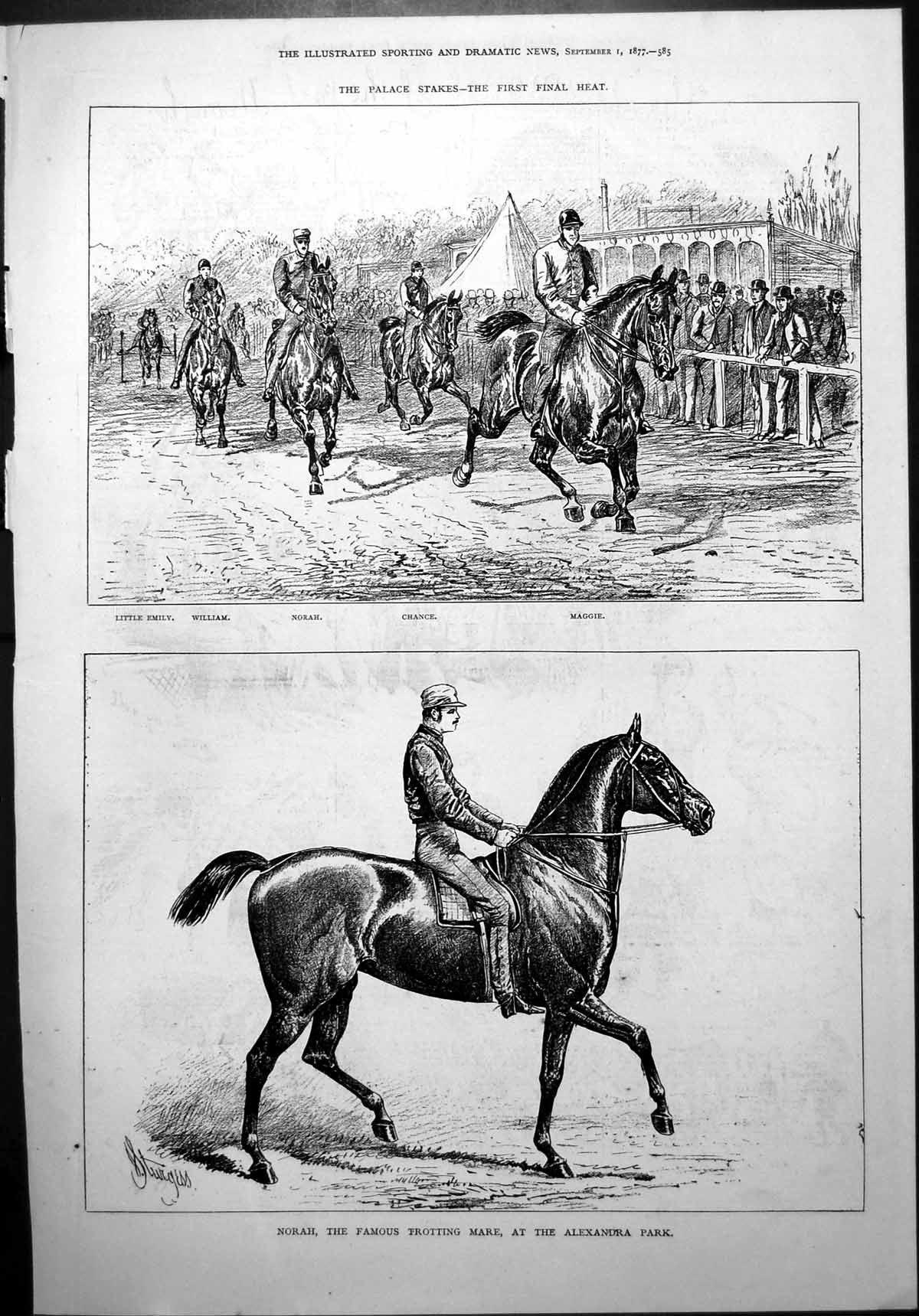 Old Print Palace Stakes First Final Heat Norah Famous Trotting Mare 1877 19th