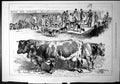 Old Print Fox Hounds Prize Cattle Yorkshire Agricultural Show Moore 1877 19th