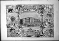 Antique Print Zoological Gardens Frankfort-On-The-Maine Elephant Camel 1877