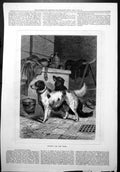 Old Waiting Word Hunting Dogs Ready Tack Room Saddle Bucket Brush 187 Victorian
