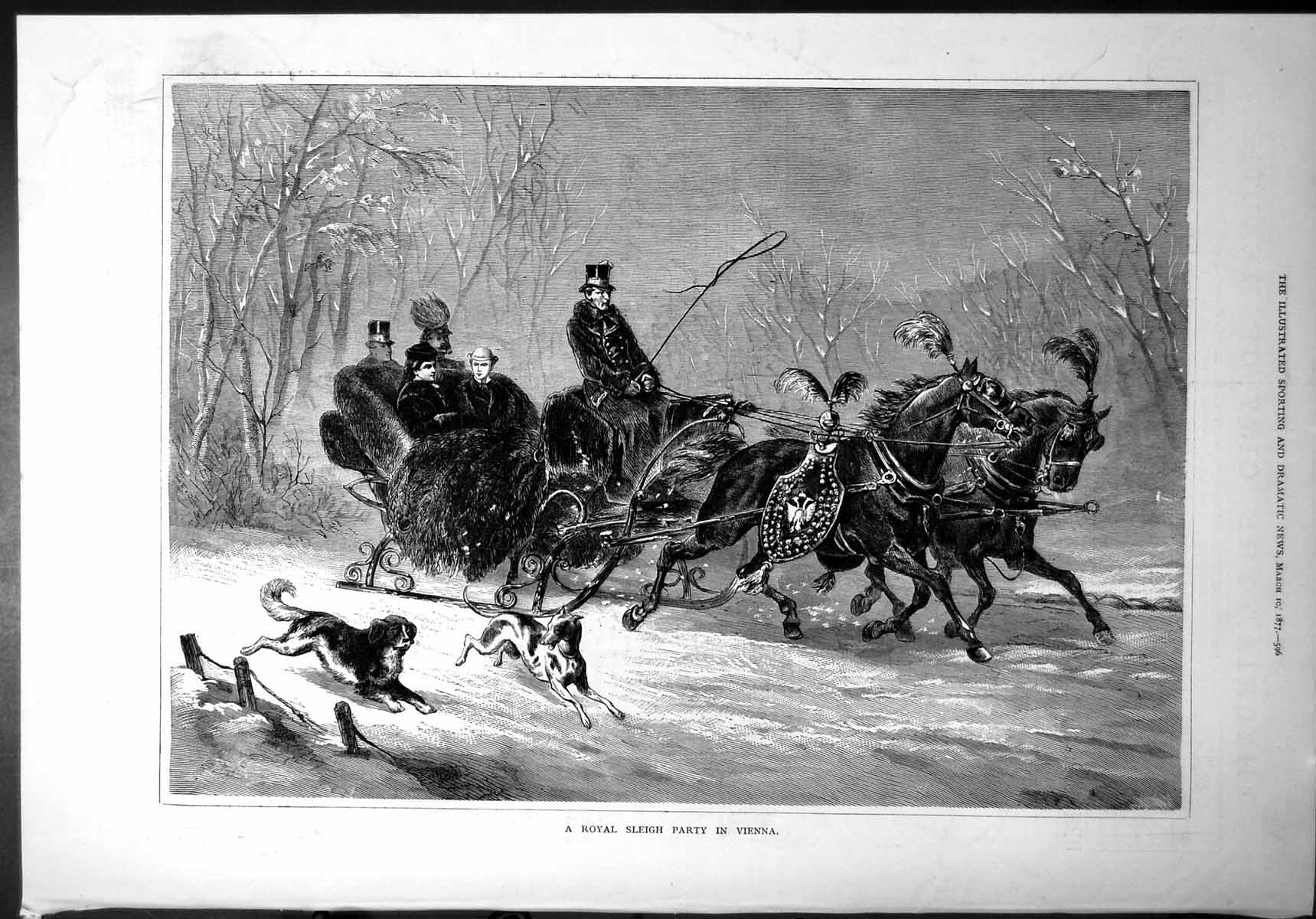 Old Royal Sleigh Party Vienna Winter Decorated Horses Furs Dogs Snow