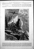Old Print After Fight Two Stags Antlers Entwined Fallen Death Eagles 1877 19th