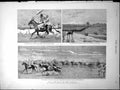 Old Print Master Slave Horseback Khartoum Kordofan Rebellion Soudan 1883 19th