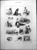 Old Notes Kennel Club Show Crystal Palace Dogs Large Small F. Dadd 18 Victorian