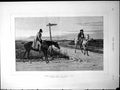 Old ?Hawks Dinna Pyke Out Hawks E'En? From Picture J.C. Dollman Horse