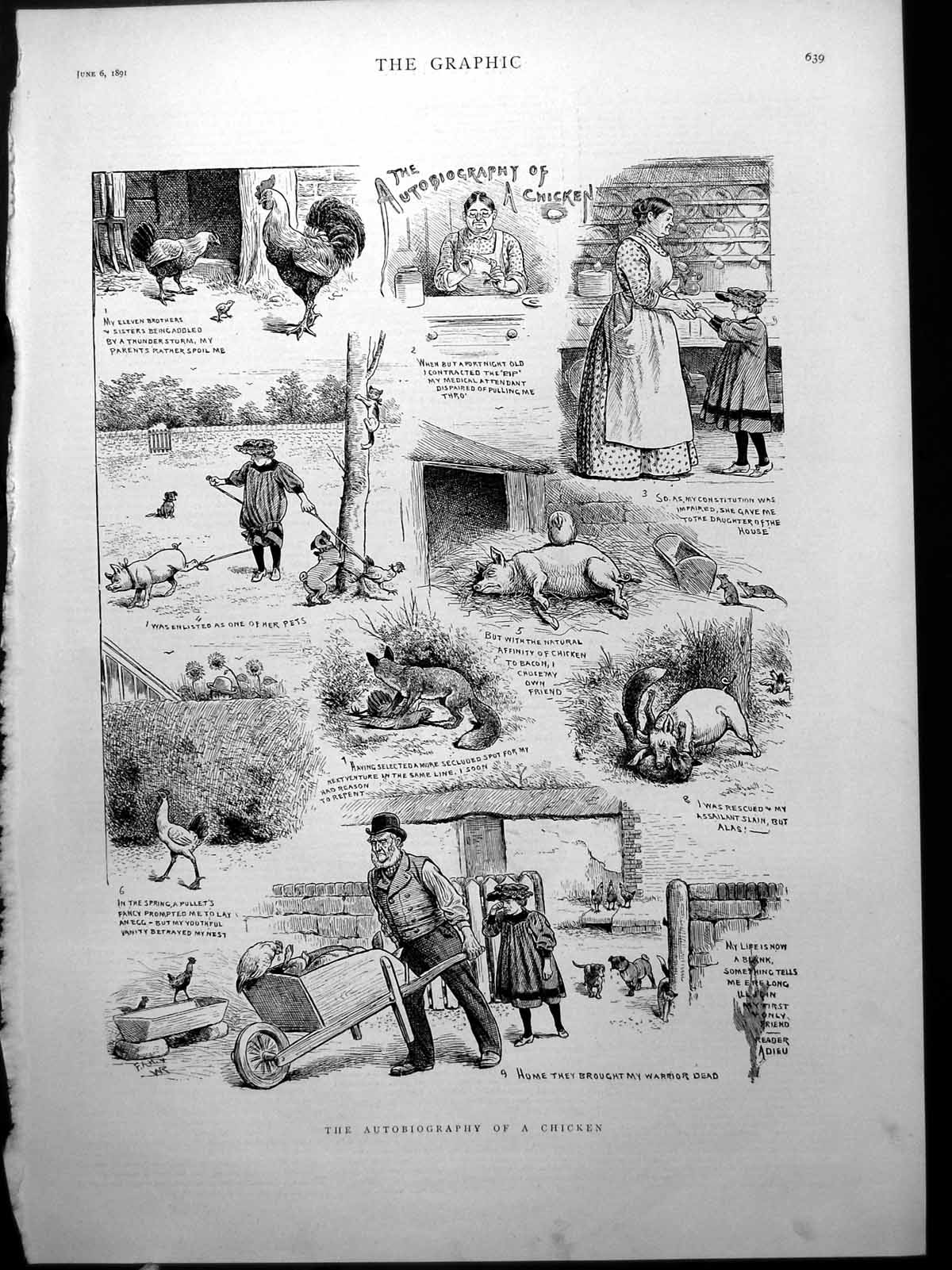 Old Autobiography Chicken Daughter Pet Pig Fox Cockerel Farmyard 1891 Victorian