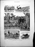Antique Print Deer Hunt New Forest Roused Tufters Pack Hounds Forester 1880
