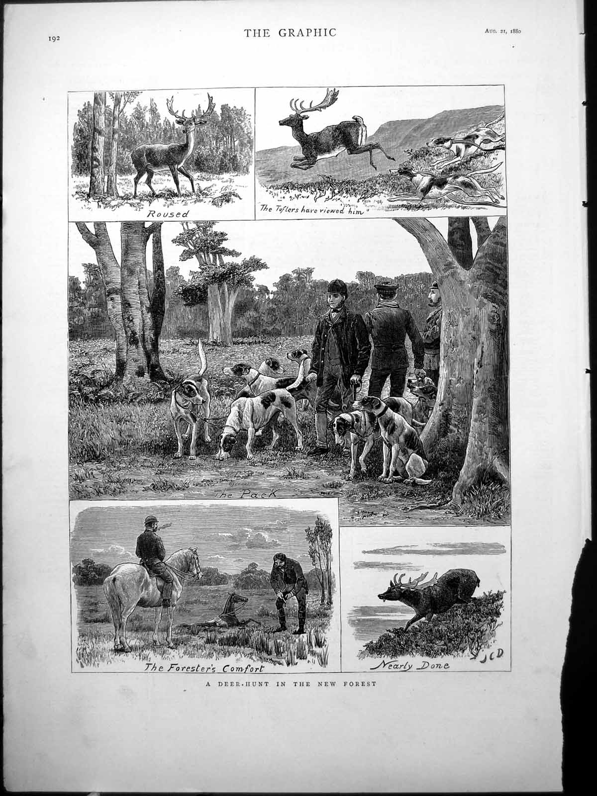 Antique Print Deer Hunt New Forest Roused Tufters Pack Hounds Forester 1880