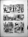 Old Sport Hunting Hobart Pasha Asia Minor Natives Woodcock Stag Boar
