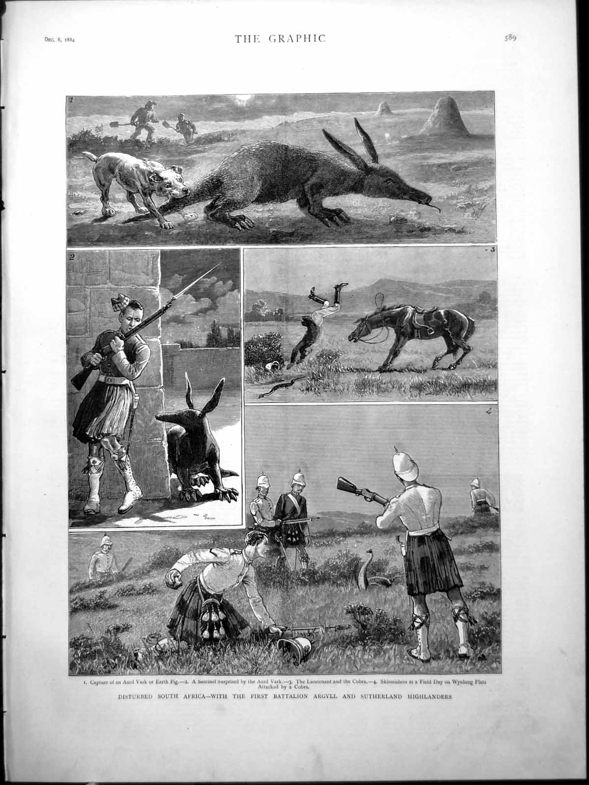Old South Africa First Battalion Argyll Sutherland Highlanders Aardva