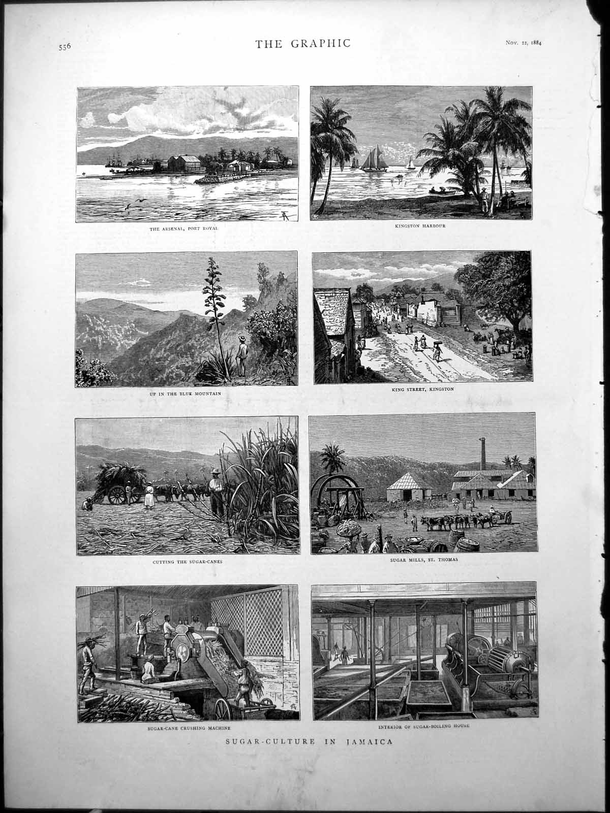 Old Sugar Culture Jamaica Arsenal Kingston Blue Mountain HarvestingVictorian