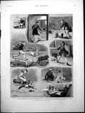 Old Print Impulsive Gardener Harassed Pigs Dog Comic Sketches Damage 1884 19th