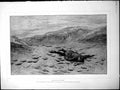 Old ?Satisfaction? From Picture J. Nash Prostrate Man Dunes Seagulls