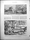 Print Portugese S Africa Difficulties Bridesmaids Wedding Eaton Grosvenor1894