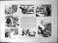 Old Pease Green Celestial Ducklings Tombs Orleans Family Dreux 1894Victorian