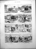 Old Photographer Burma Oxen Cart Stuck Elephant Islands Granada 1886Victorian