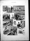 Antique Print Dog Show Competitors De Lesseps London Chamber Commerce 1883