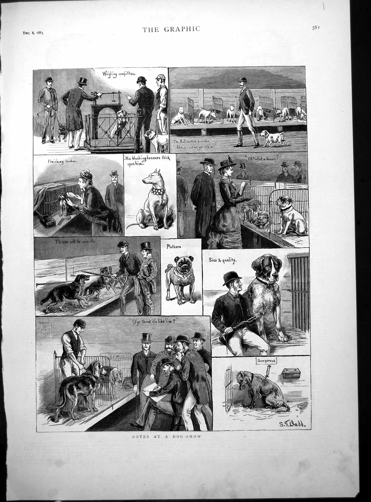 Antique Print Dog Show Competitors De Lesseps London Chamber Commerce 1883