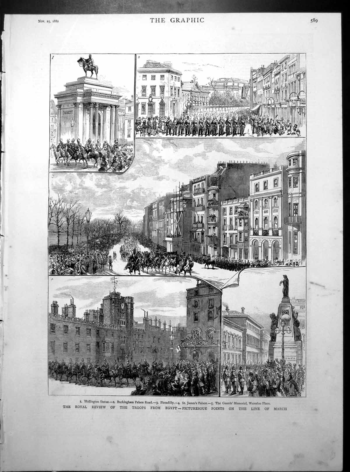 Old Royal Review Troops Egypt London Birds S Africa Sand Grouse 1882Victorian