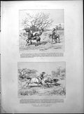 Old Sport South Africa Veldt Lady Mary Montague Mary Wilbraham 1891Victorian