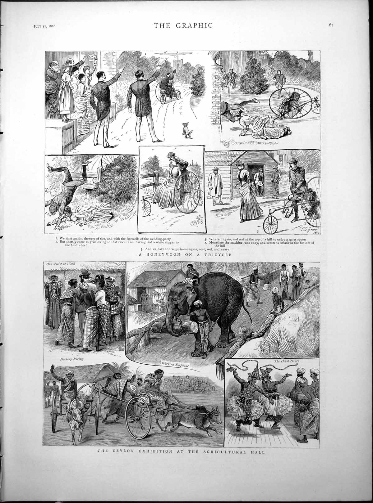 Antique Old Print Honeymoon Tricycle Ceylon Exhibition Agricultural Hall 1886