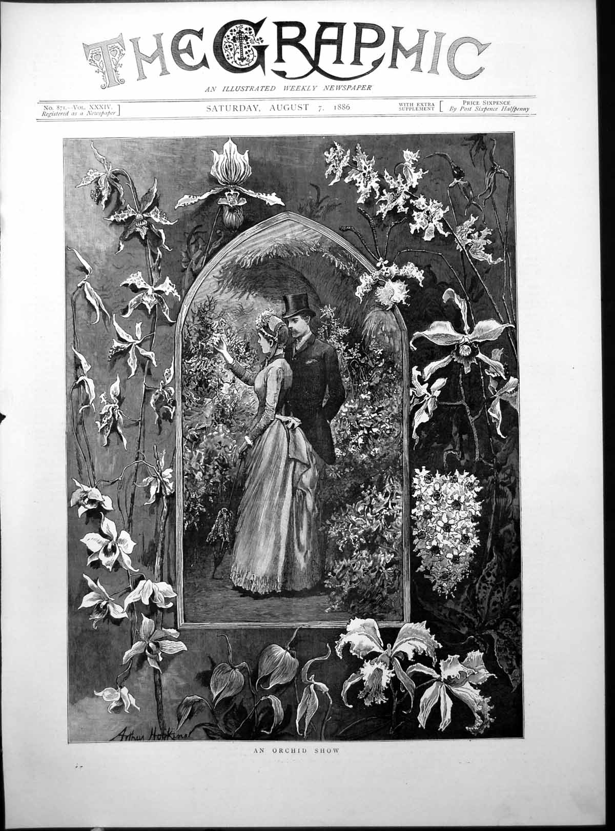 Antique Old Print Orchid Show Arthur Hopkins Lady Gent Garden Flowers 1886 19th