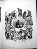 Print Land Birds British Islands J Millais Owl Pigeon Turkey Woodpecker 1886
