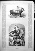 Old Antique Print Bush Dog Zoo Hermann Vezin Drama Actor Preparation 1879 19th