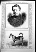 Antique Print Late Mr J B Buckstone Dingo Dog Australian Sheep Farmers 1879