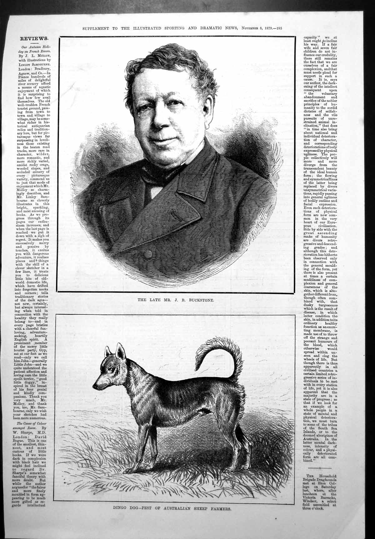 Antique Print Late Mr J B Buckstone Dingo Dog Australian Sheep Farmers 1879
