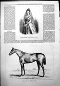 Old Mdme Gerster H Majestys Opera Baden Baden American Race Horse 1878 19th