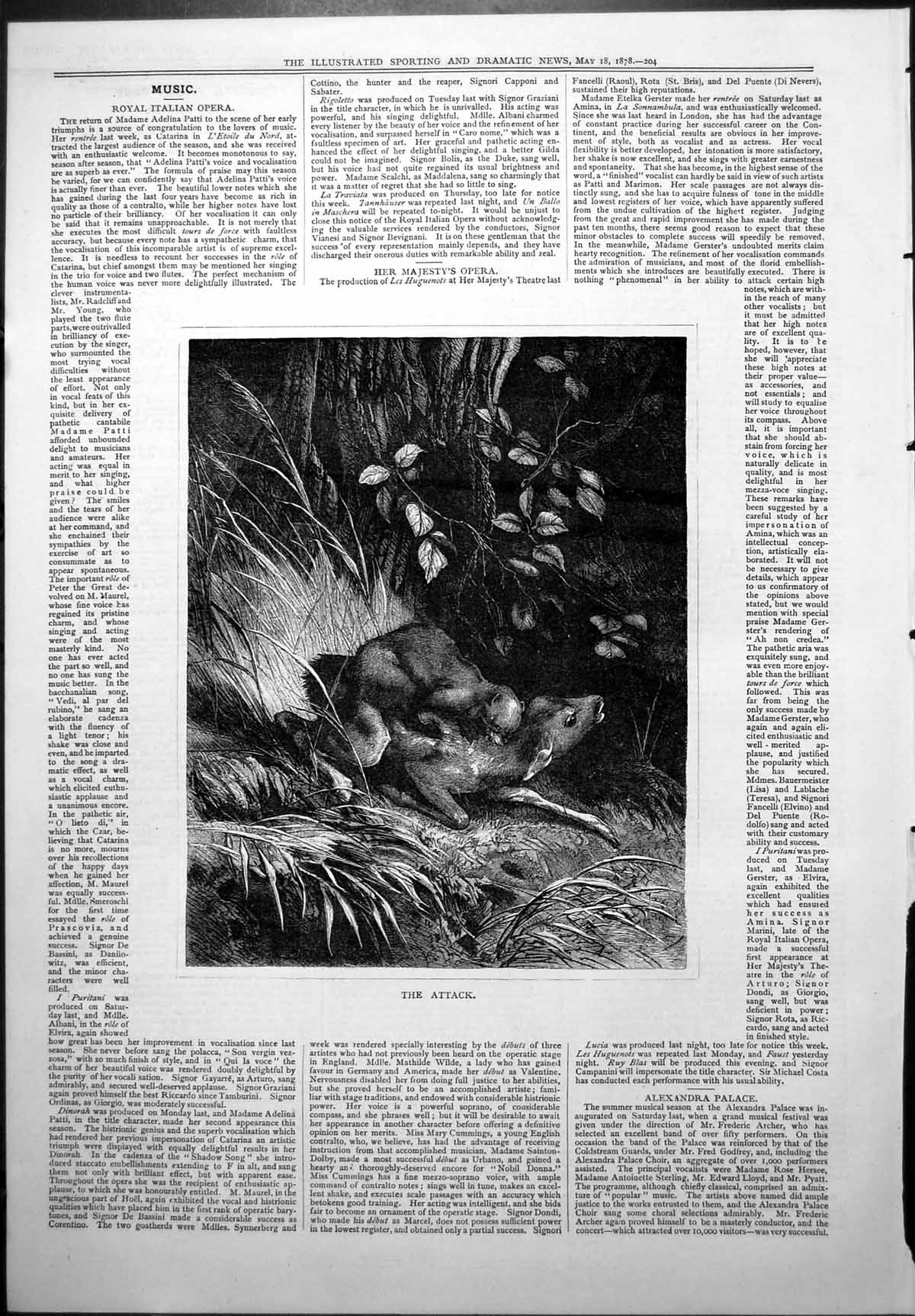 Original Old Antique Print Attack Roe Deer Forest Attacked Wild Animal 1878