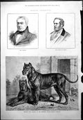 Old Squire Earl Derby German Dogs Breeding Establishment Carlupe 1878 Victorian