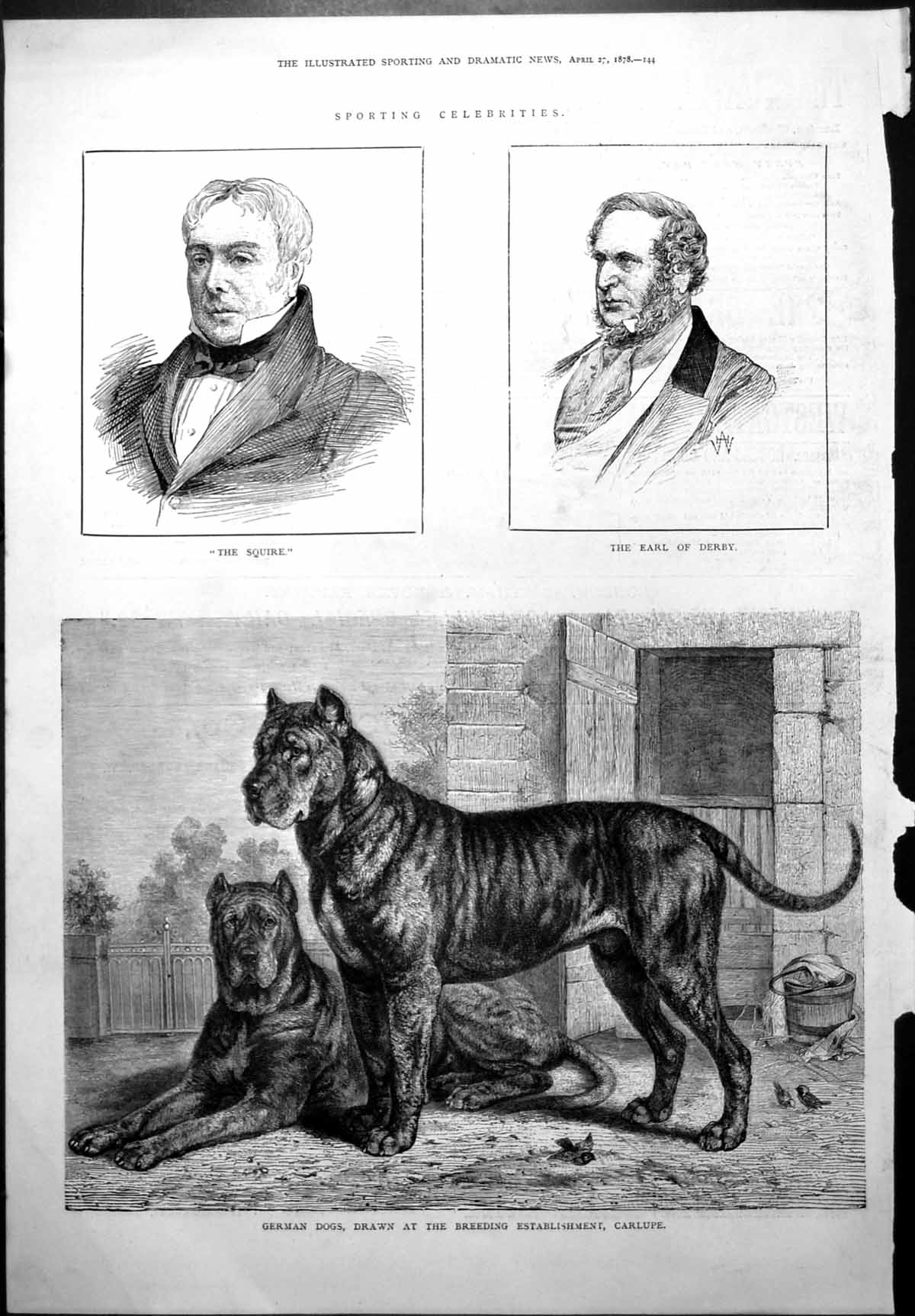 Old Squire Earl Derby German Dogs Breeding Establishment Carlupe 1878 Victorian