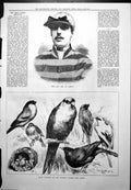 Antique Print Late Mr St James Prize Winners Crystal Palace Bird Show 1878 19th