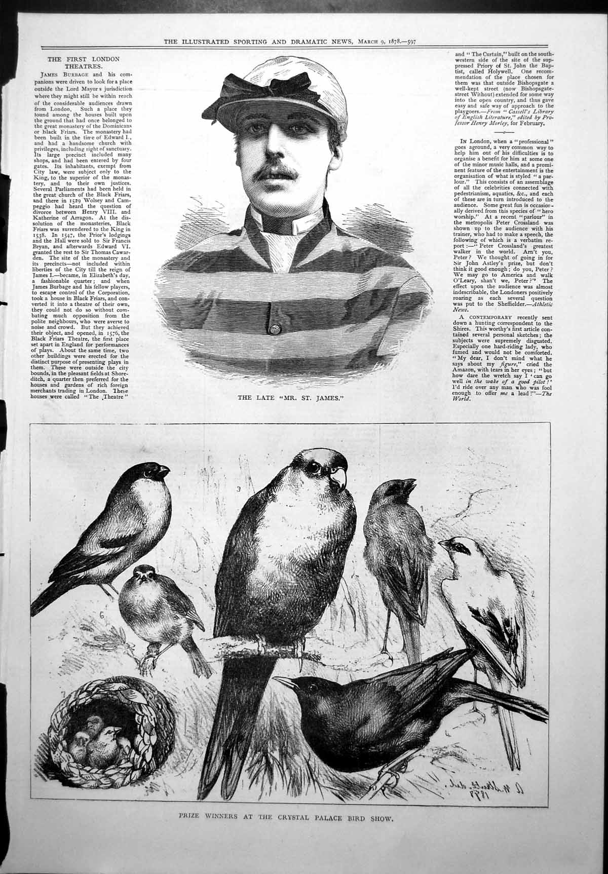 Antique Print Late Mr St James Prize Winners Crystal Palace Bird Show 1878 19th