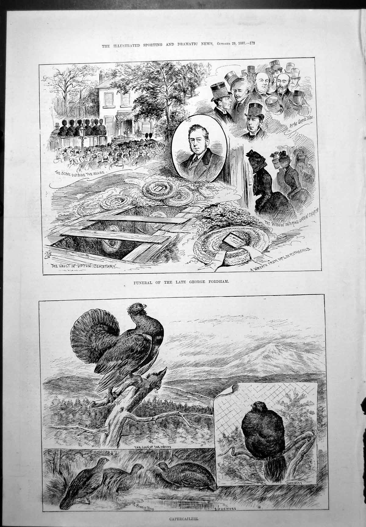 Old Funeral Late George Fordham Capercailzie Cock Woods Captivity 1887 19th
