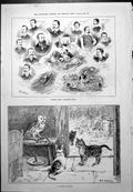 Old Ealing Dean Swimming Club Coveted Morsel S T Dadd Owl Mouse 1887 Victorian