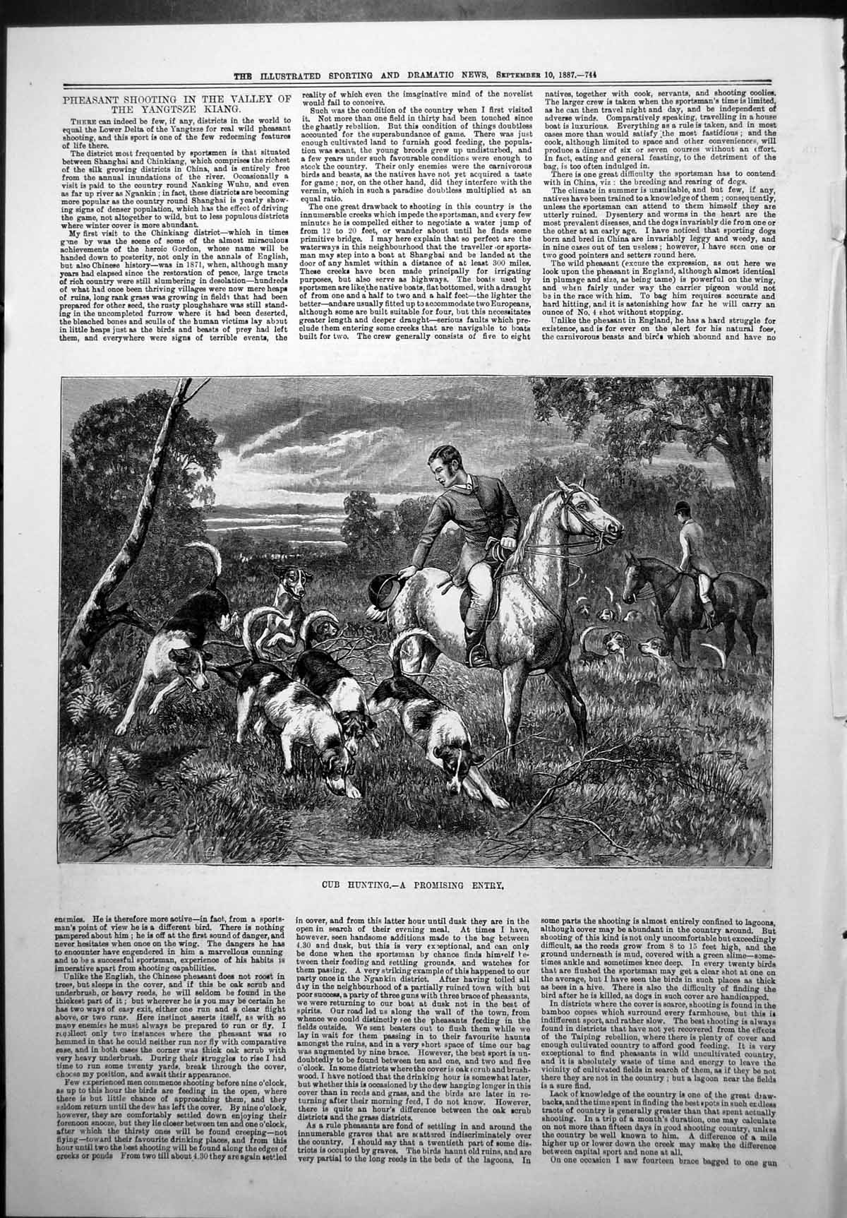 Old Antique Print Cub Hunting Promising Entry Riders Horses Hounds 1887 19th
