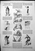 Old Captious Critic Shadows Great City Catherine Lewis Harry Parker 1887 19th