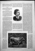 Old Antique Print Mr Joseph Tapley Dog Fox First Prize Jersey Bull 1887 19th